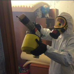 Уничтожение клопов в квартире. Высоцк